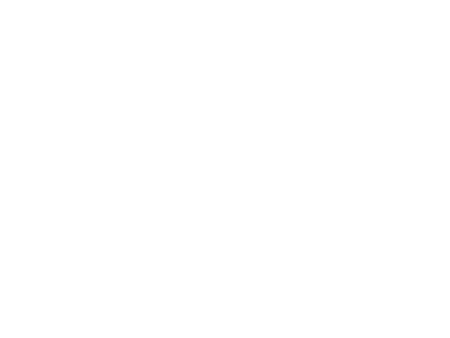 MY IDOOM