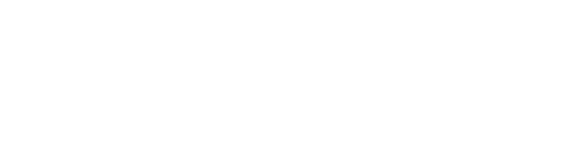 DR.WEB